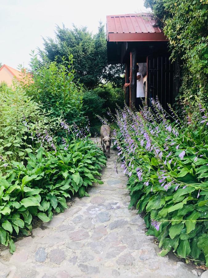 Spokojny Zaulek Ulinia Exteriör bild